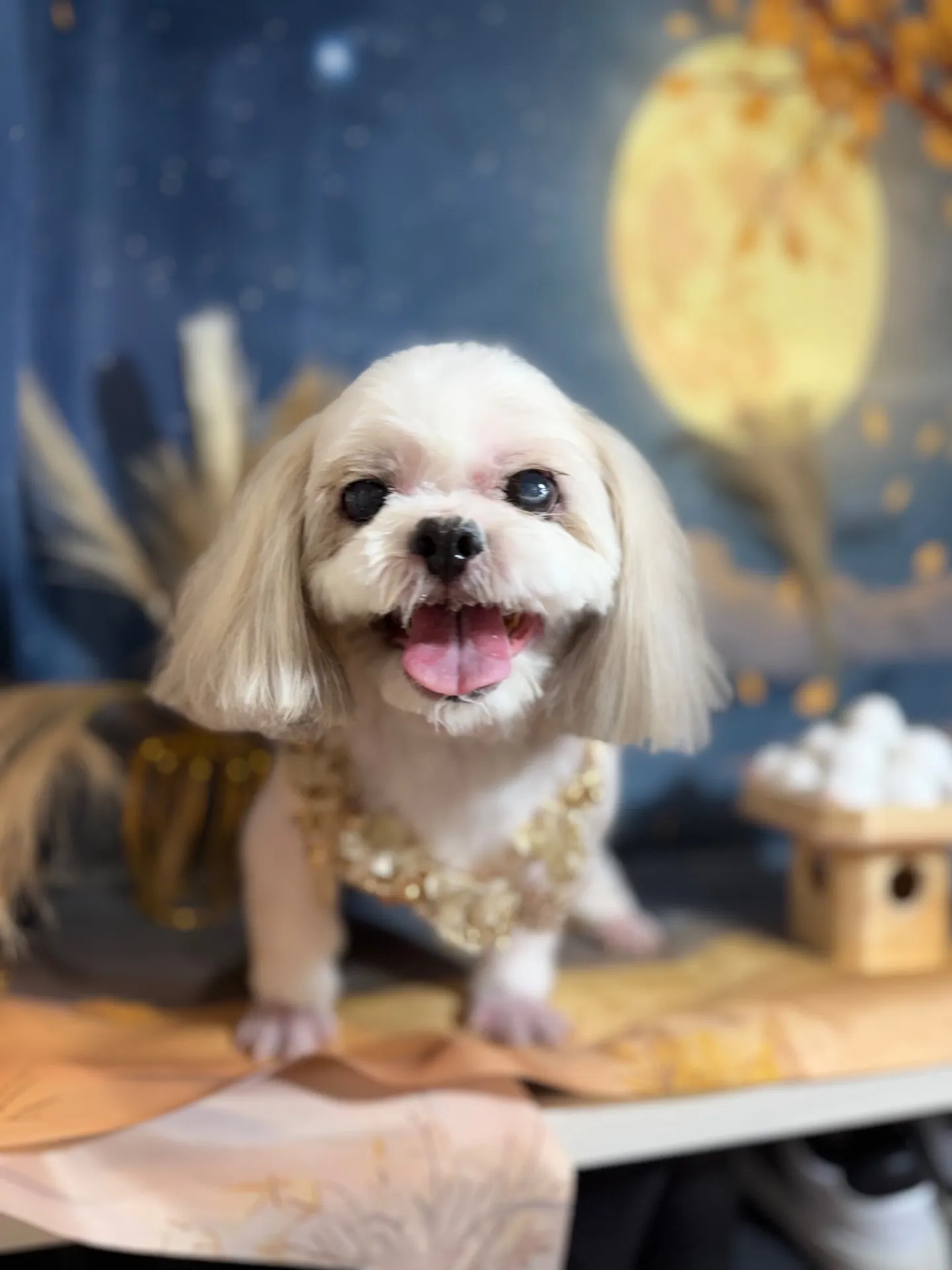 リョウくん