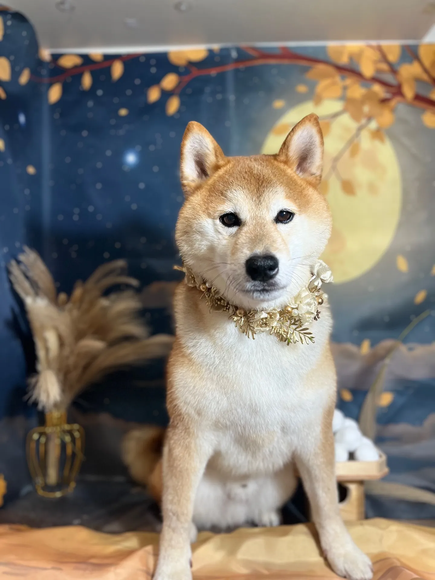 クンクンくん