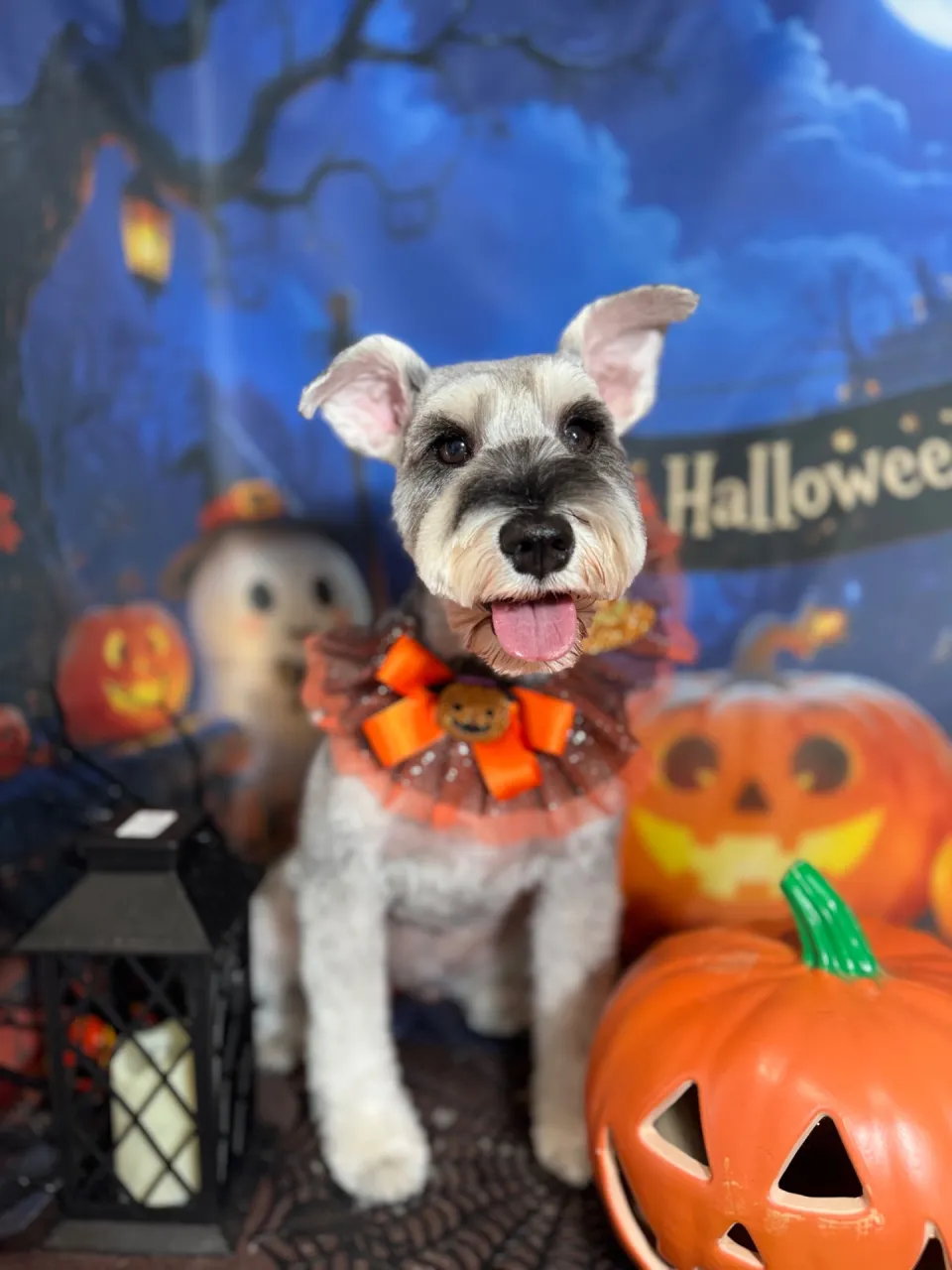 タロウくん