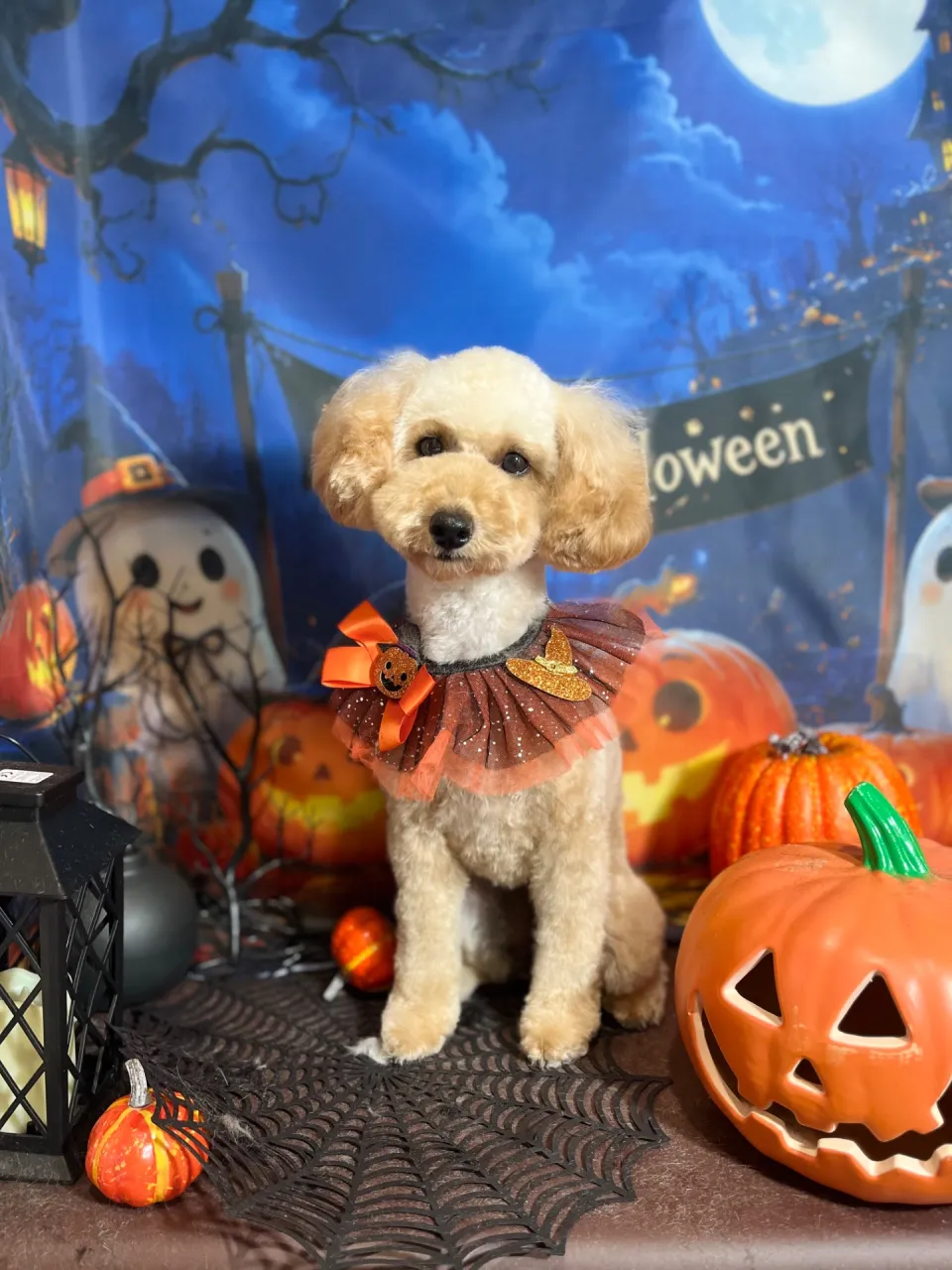 アイコちゃん